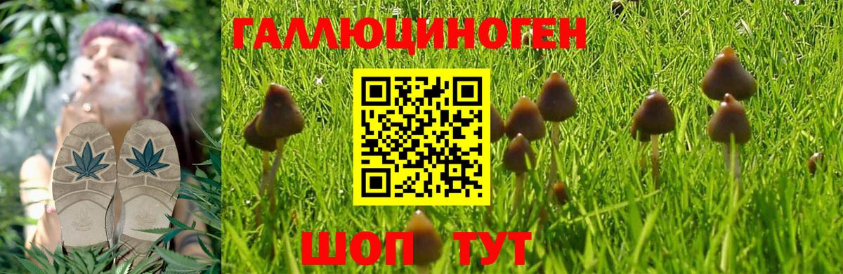 Псилоцибиновые грибы MAGIC MUSHROOMS  купить   Магнитогорск  Вход с VPN 